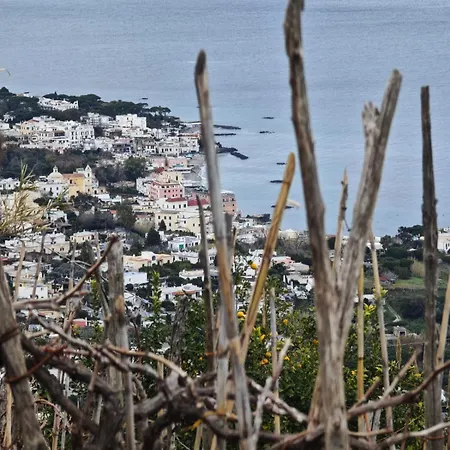 Campagnano Rural & Ischia